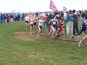 P1000684.JPG
