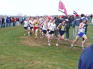 P1000694.JPG