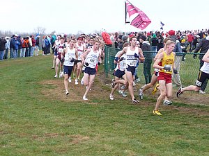 P1000701.JPG