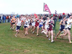 P1000711.JPG