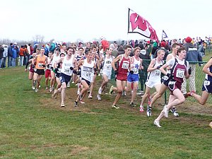 P1000712.JPG