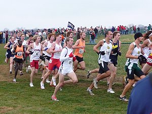 P1000713.JPG