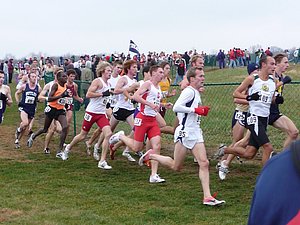 P1000714.JPG