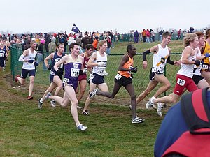 P1000718.JPG