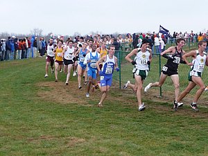 P1000723.JPG