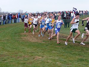 P1000724.JPG