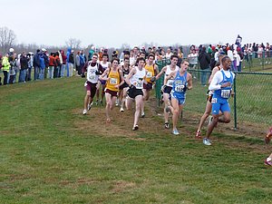 P1000727.JPG