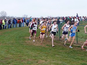 P1000729.JPG