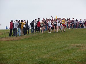 P1000767.JPG