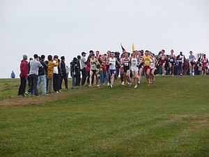P1000768.JPG
