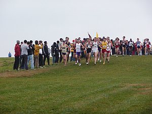 P1000769.JPG