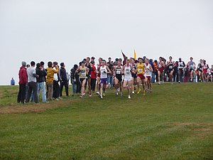 P1000770.JPG