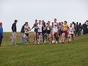 P1000771.JPG