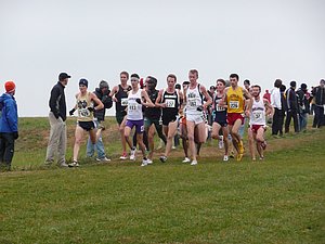 P1000772.JPG