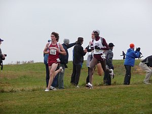 P1000774.JPG