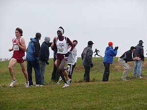 P1000775.JPG