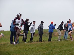P1000776.JPG