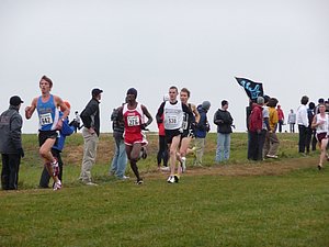 P1000780.JPG