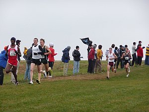 P1000782.JPG