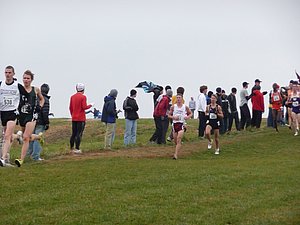 P1000784.JPG
