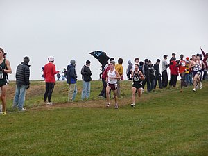 P1000785.JPG