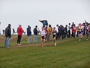 P1000786.JPG