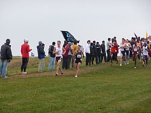 P1000787.JPG
