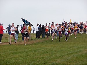P1000789.JPG