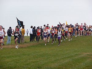 P1000790.JPG