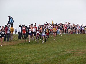 P1000791.JPG