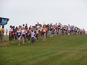 P1000792.JPG