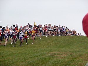 P1000793.JPG