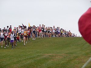 P1000794.JPG