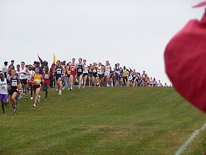 P1000796.JPG