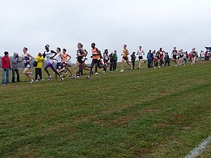 P1000798.JPG