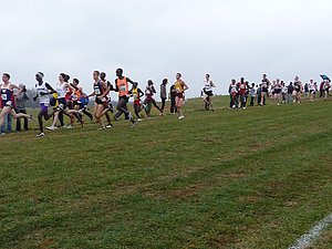P1000799.JPG