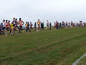 P1000800.JPG