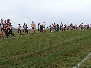 P1000801.JPG