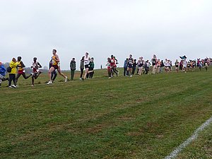 P1000802.JPG
