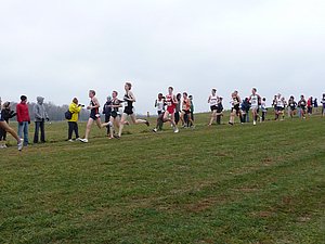 P1000803.JPG