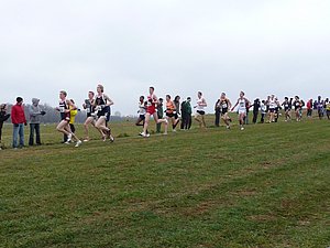 P1000804.JPG