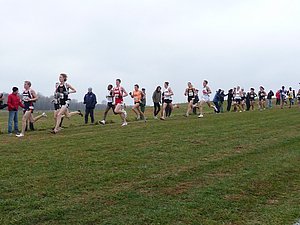 P1000805.JPG