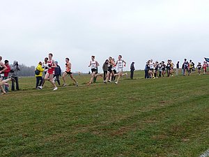 P1000807.JPG