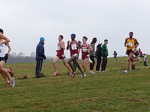 P1000811.JPG