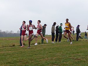 P1000812.JPG