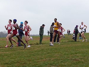 P1000813.JPG