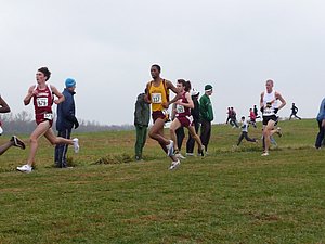P1000814.JPG