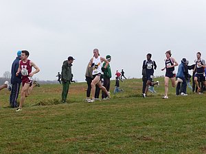 P1000817.JPG