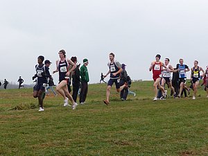 P1000822.JPG