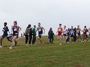 P1000823.JPG